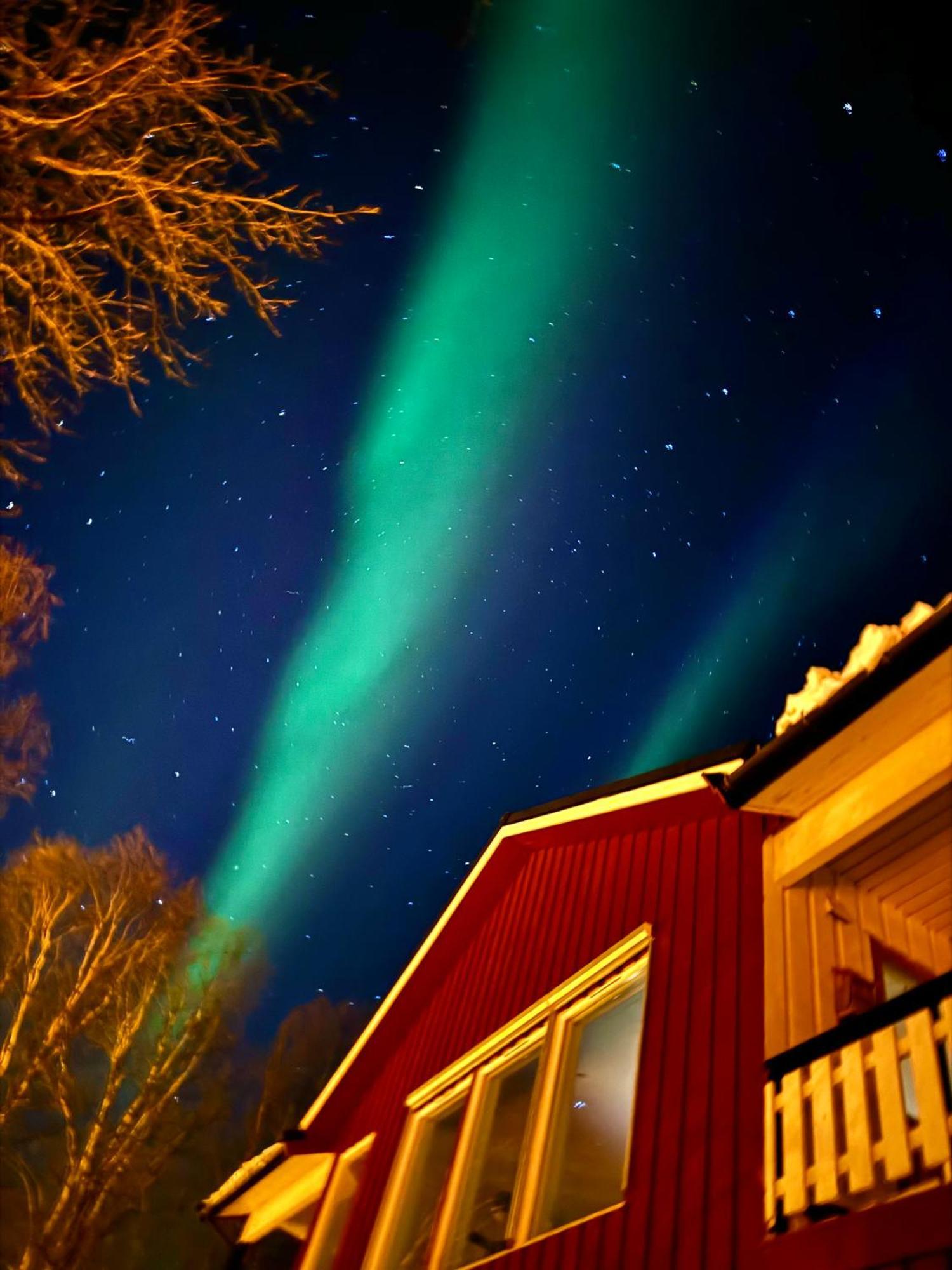 Bed And Breakfast Nordic Horn Brostadbotn Exterior foto